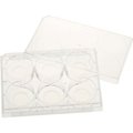 Celltreat Scientific Products CELLTREAT 6 Well Tissue Culture Plate with Lid, 20mm Glass Bottom, Individual, Sterile, 5/PK 229107